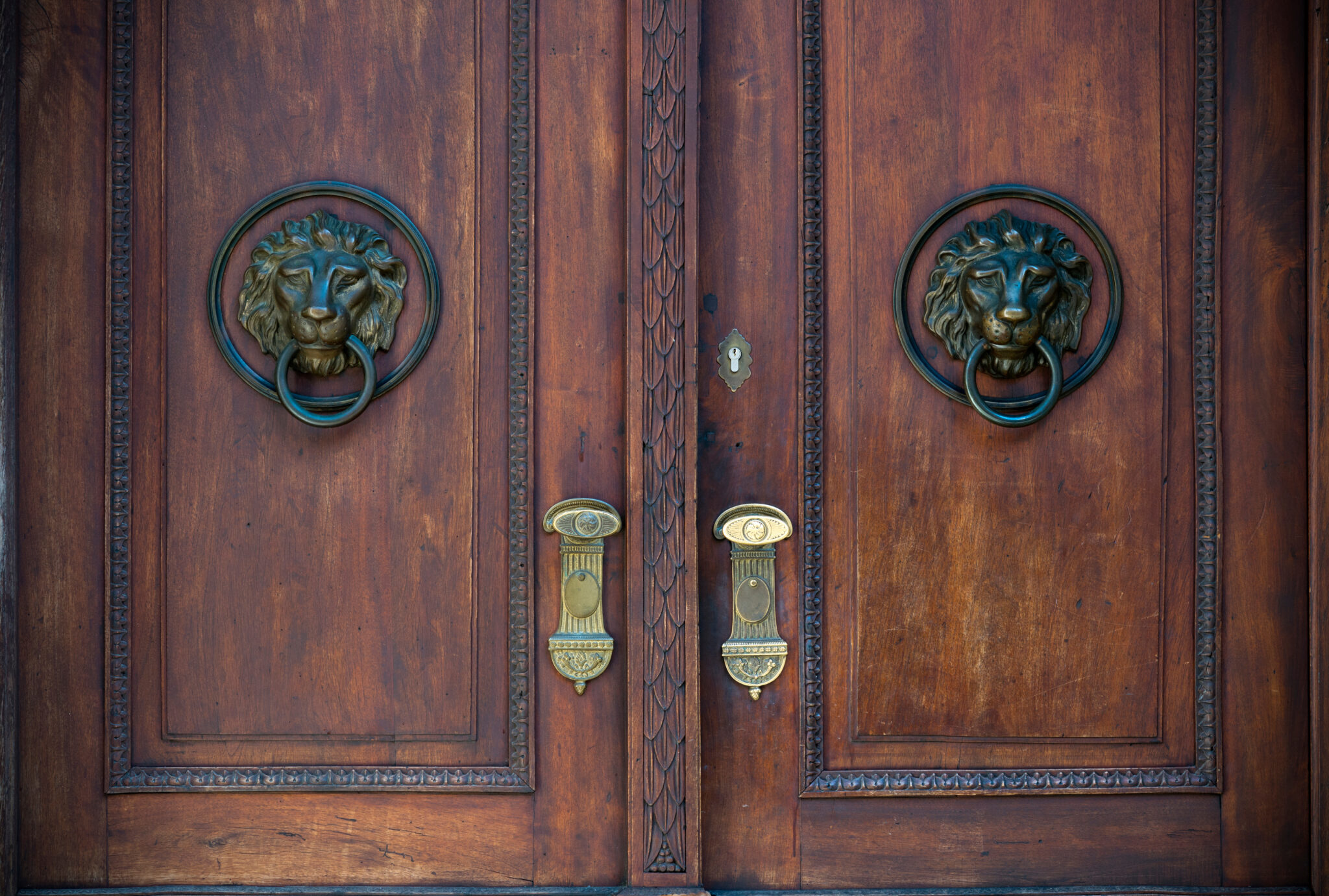 Learn More About Our Company Performance Door and Hardware